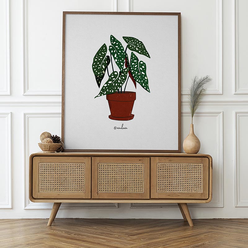 begonia-illustration-print