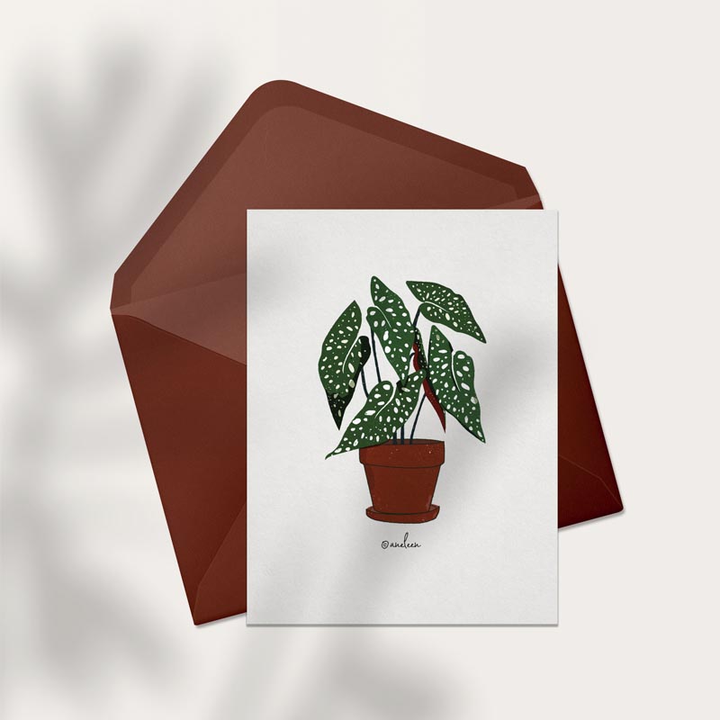 begonia-maculata-illustration-carte
